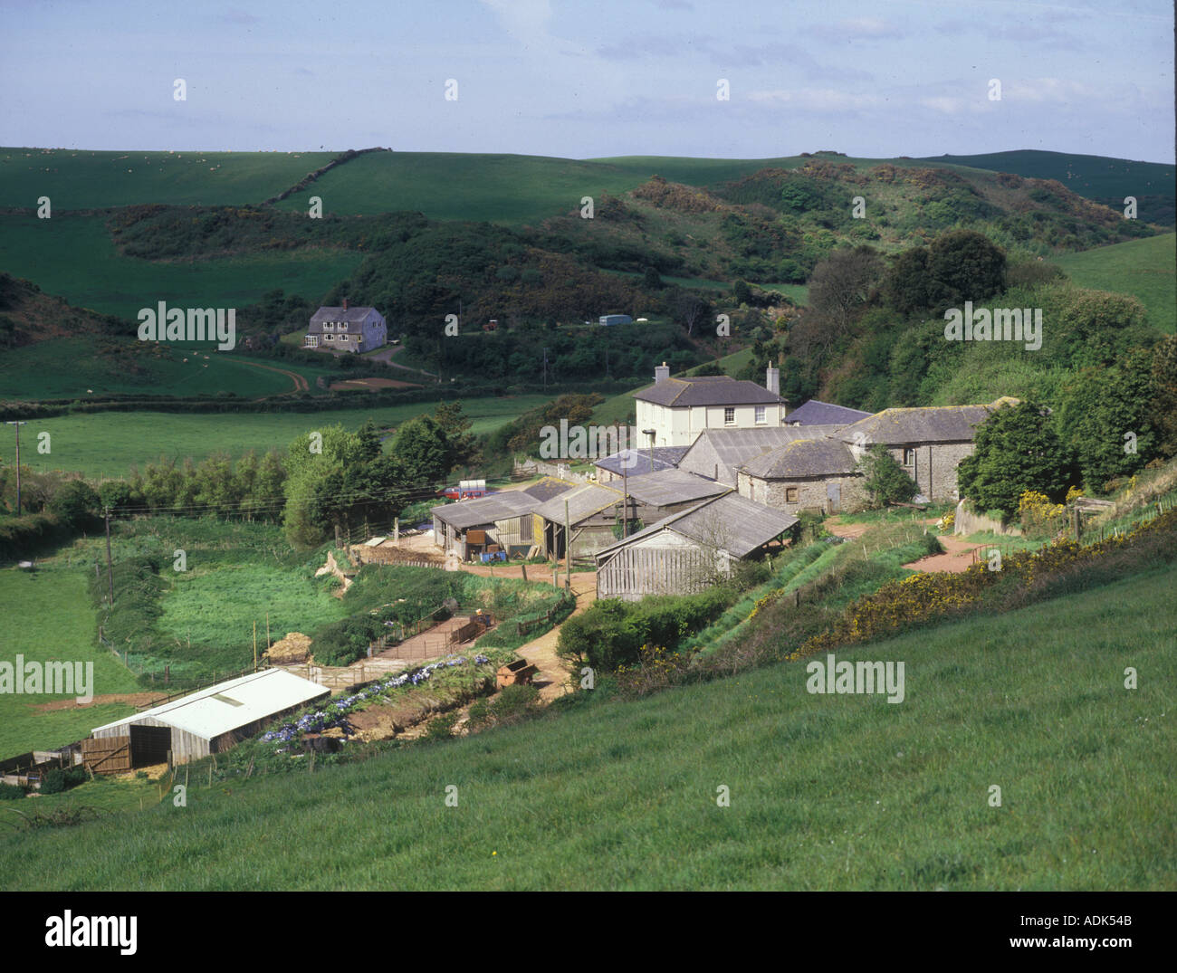 Farmland South Devon Farm Hope Cove Stock Photo Alamy
