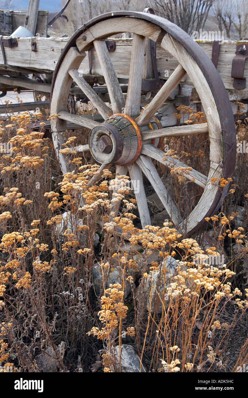 Wagon wheel with old flowers Fields Oregon Stock Photo