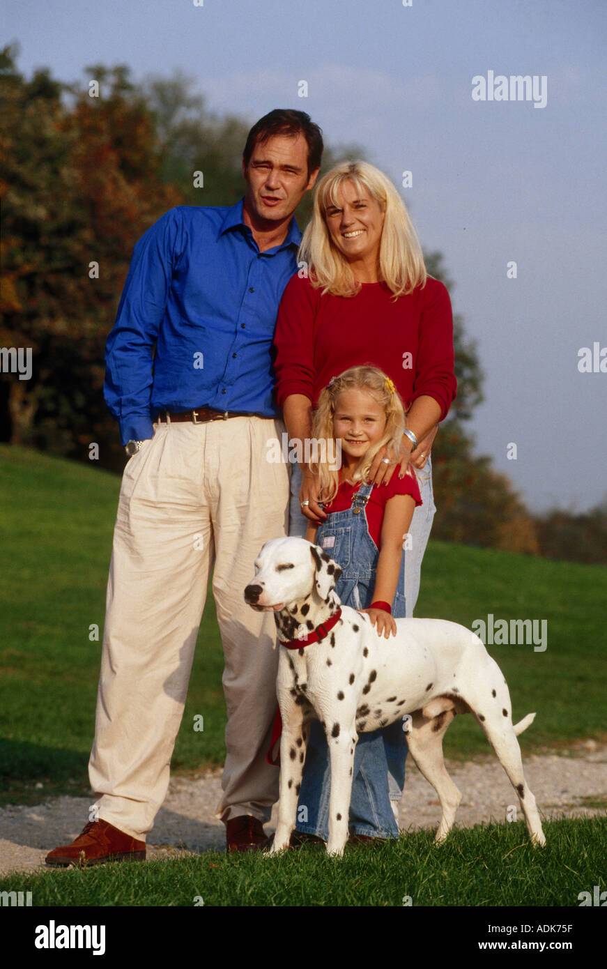 Dalmation Dog Family Dalmation Dog Family