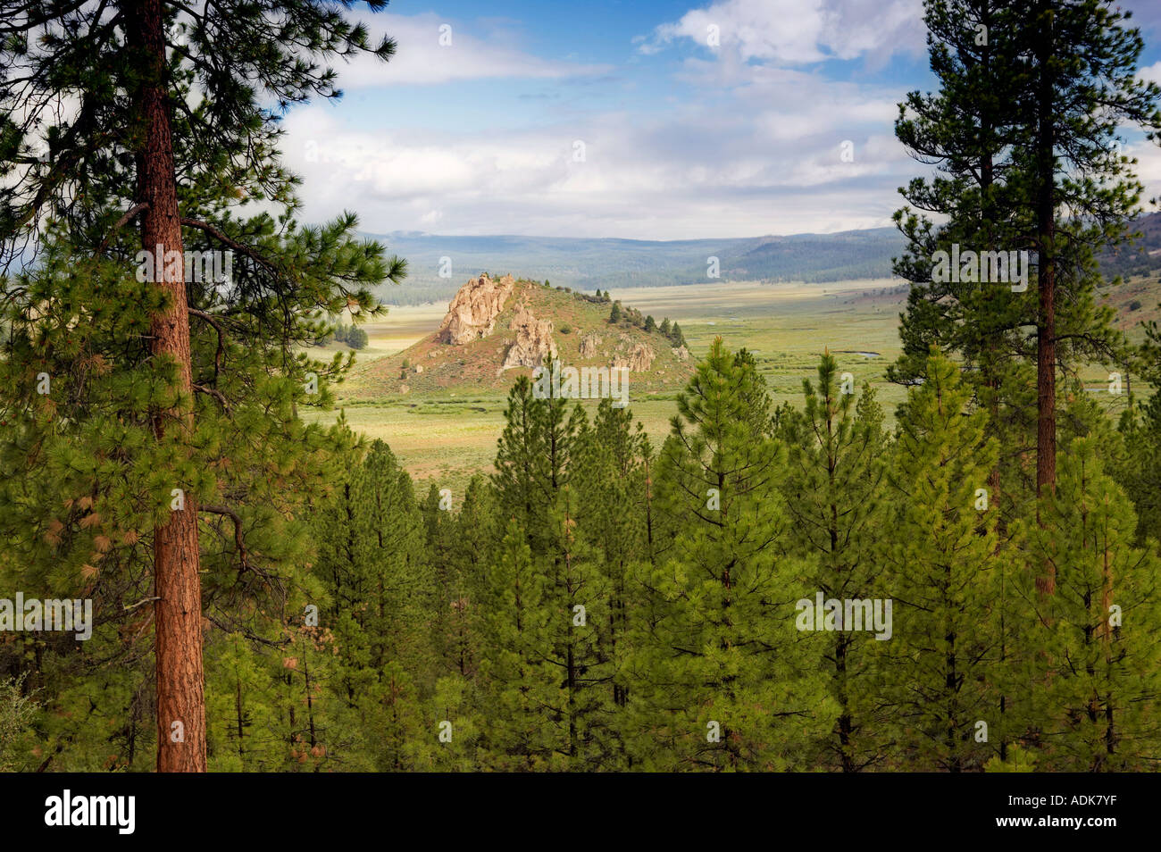 Jenny Bute Freemont National Forest Oregon Stock Photo