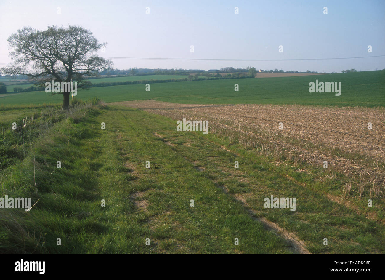 Farming Farmland 6 meter set a side strip with stubble field also left as set a side spring Stock Photo