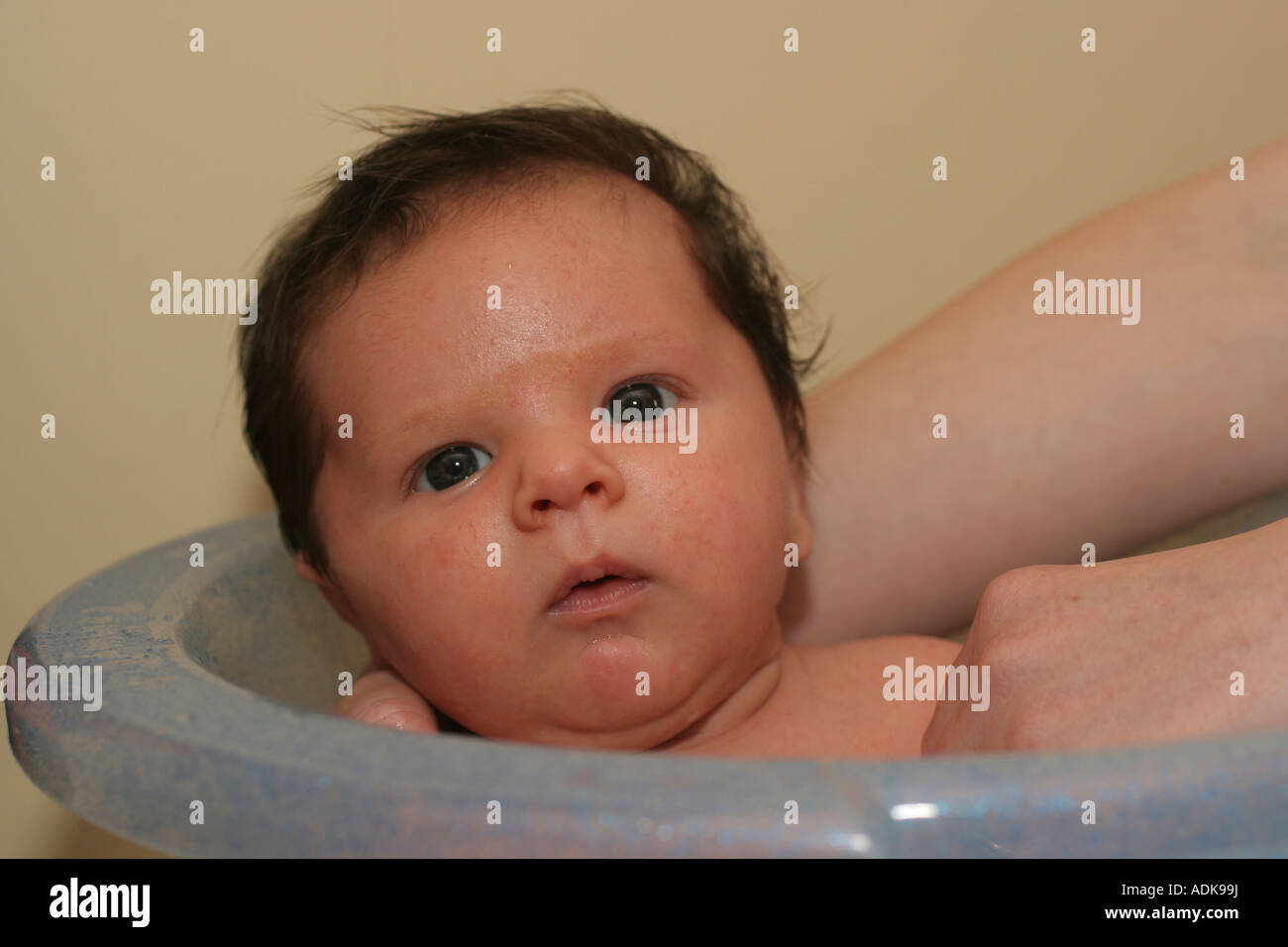 3 Week Old Baby Boy being Bathed UK Stock Photo Alamy