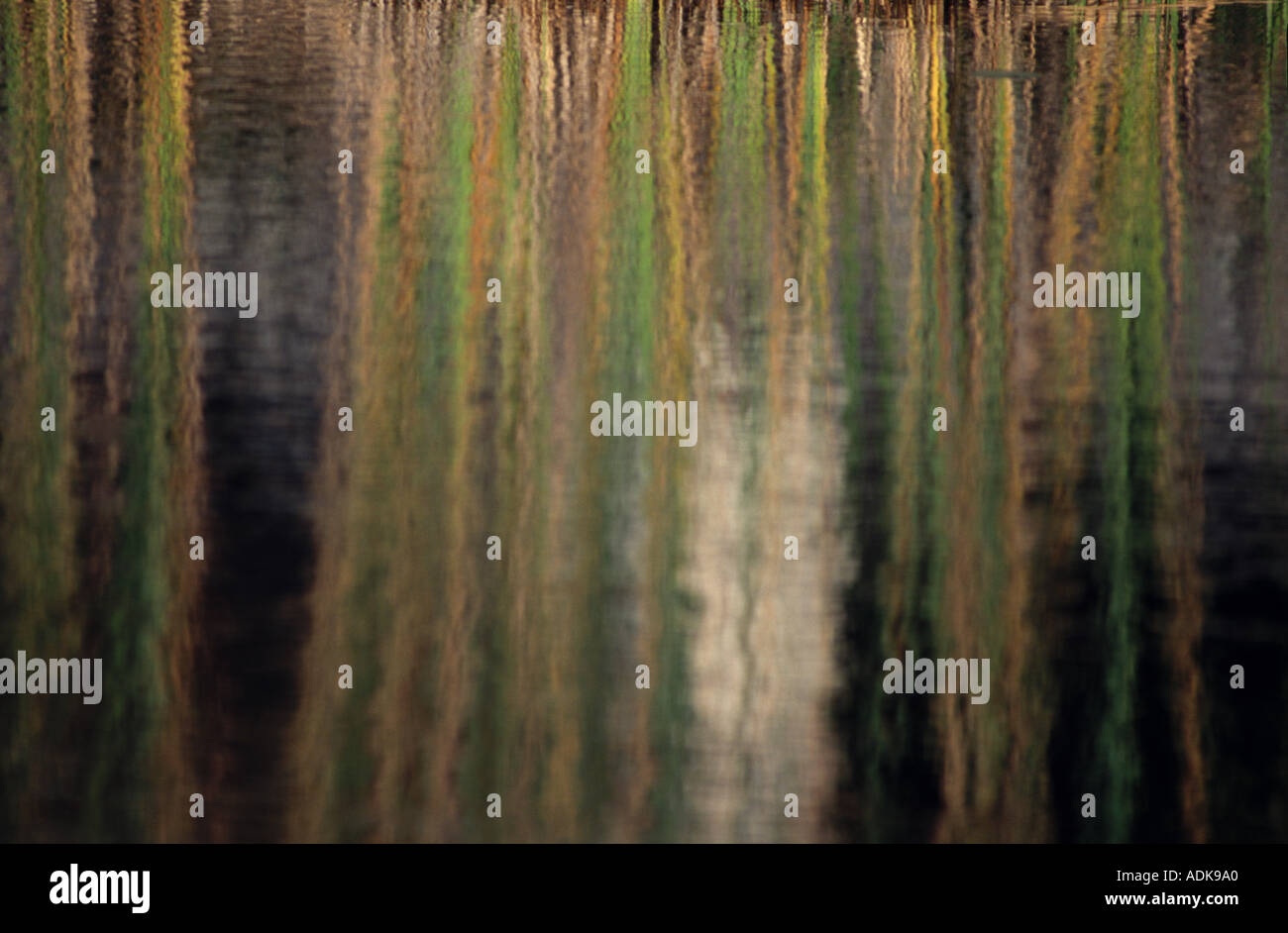 Reflections Tree reflections in water Stock Photo