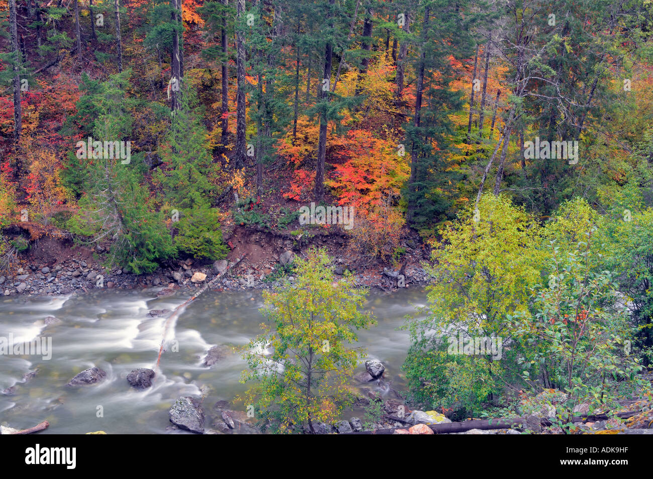 Fall Colored Things Granite Creek with fall colored vine maples North Cascades National ...