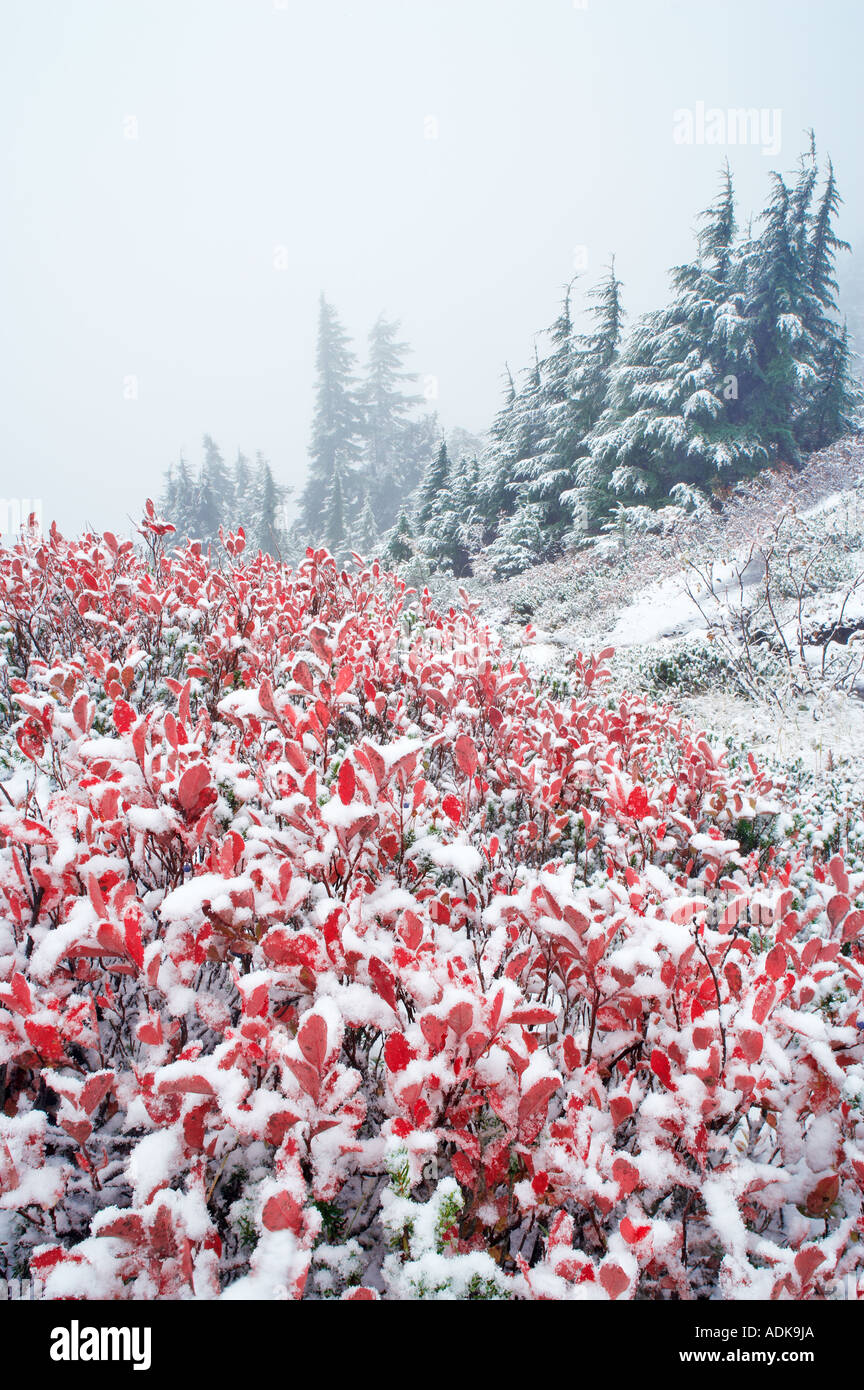 Mt baker hi-res stock photography and images - Alamy
