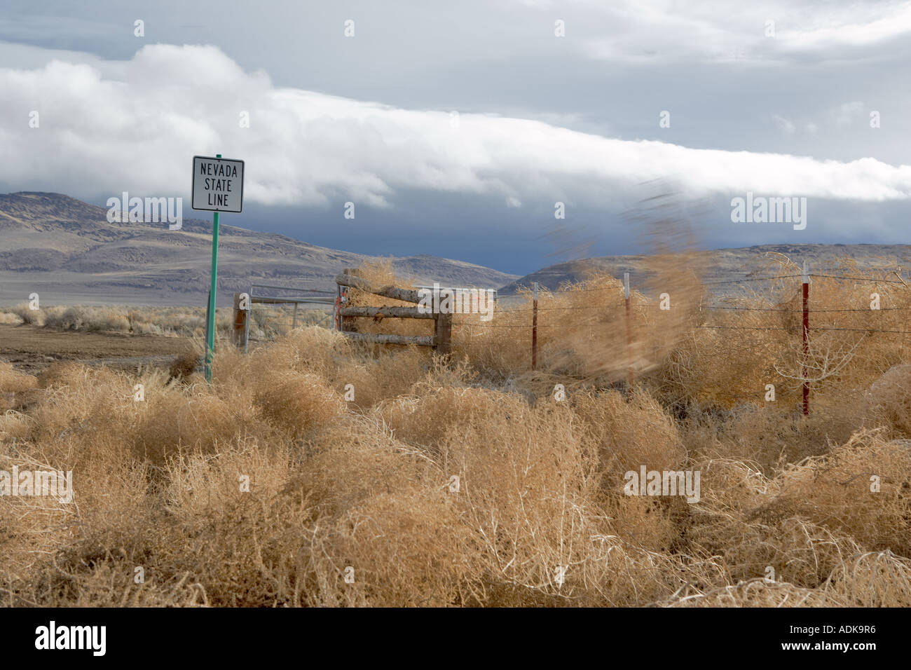 Nevada State line with blowing tumbleweed Stock Photo Alamy