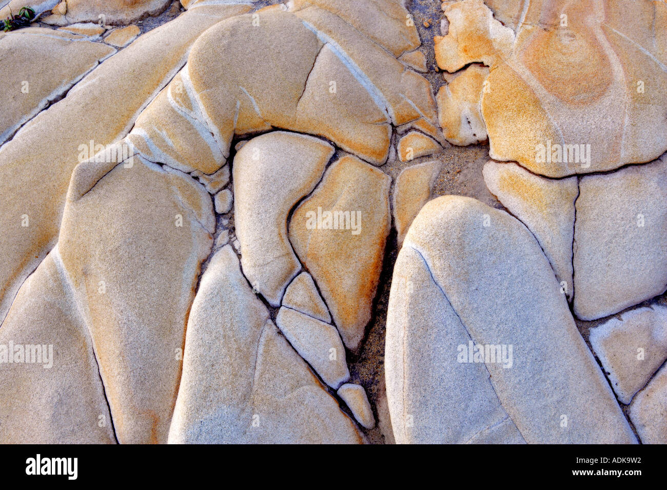 Unusual sandstone rock formation Salt Point State Park California Stock Photo