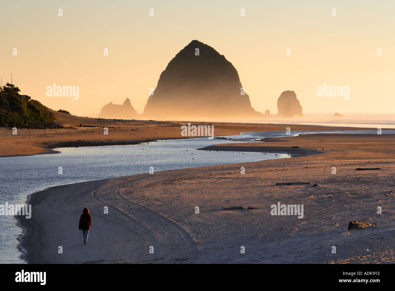 Haystack Rock Cannon Beach Person Hi res Stock Photography And Images haystack-rock-cannon-beach-person-hi-res-stock-photography-and-images