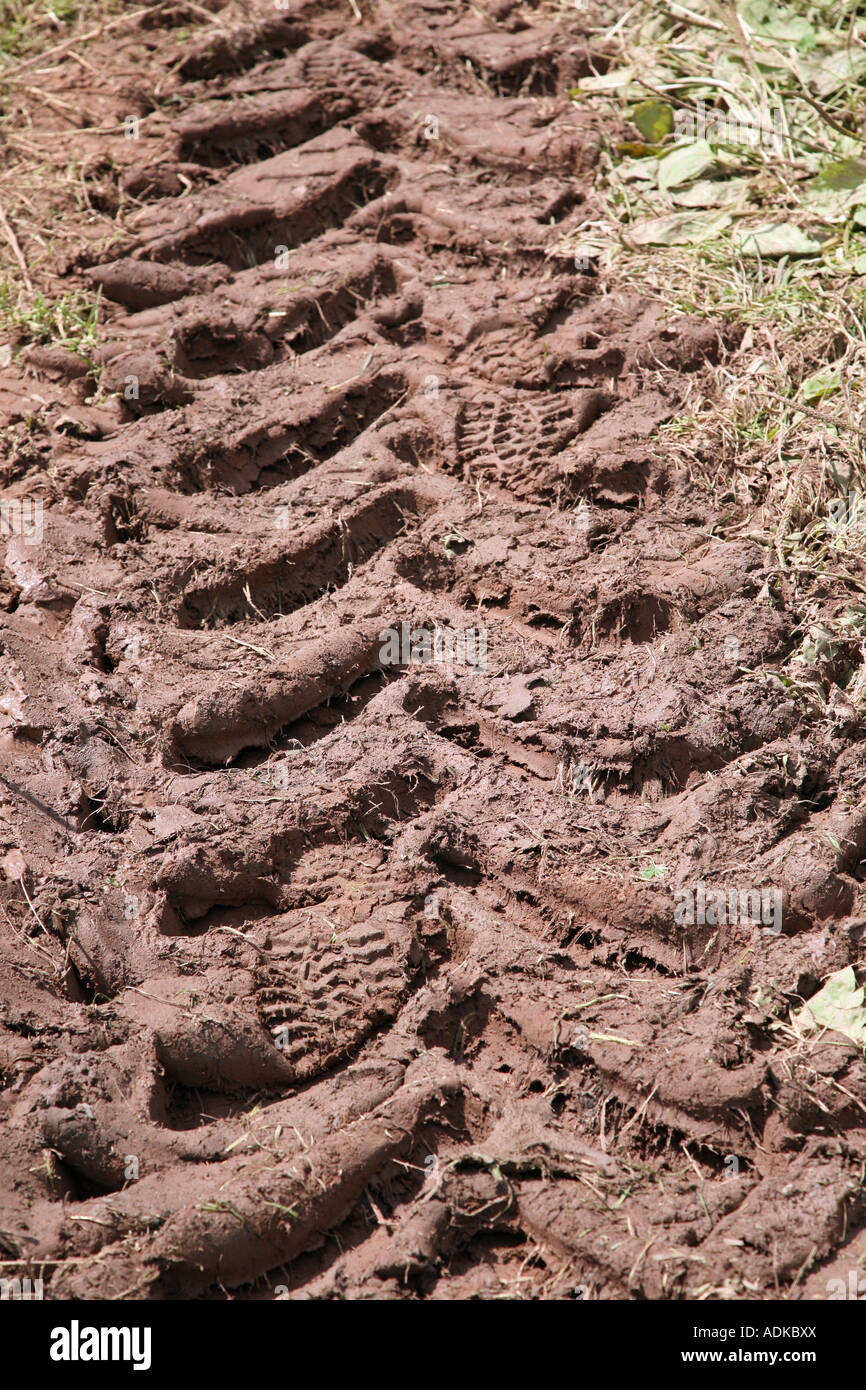 Walking boot foot prints in tractor tyre tracks, England, UK Stock Photo