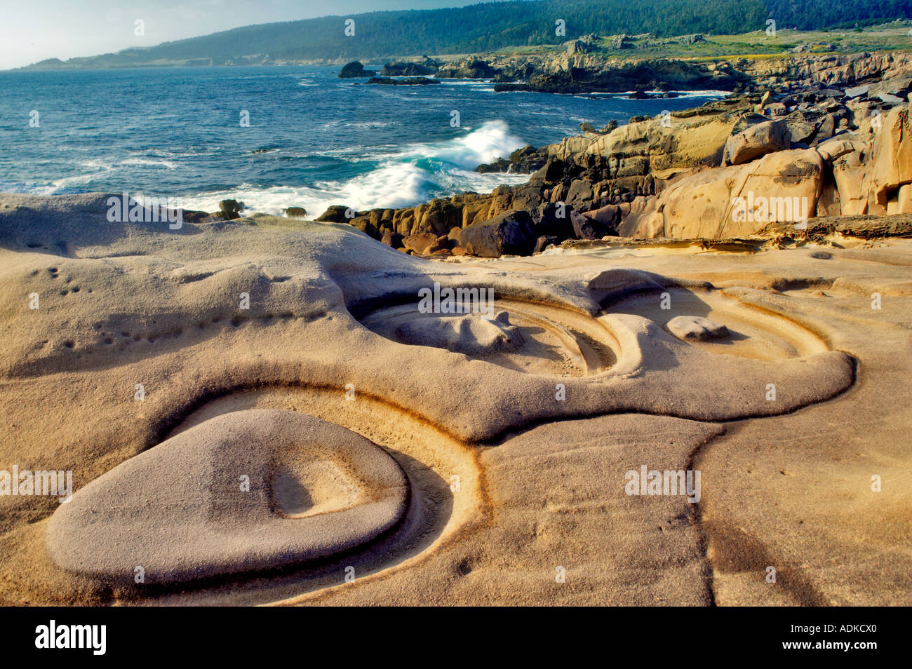 Unusual rock formation in sandstone formation Salt Point State Park