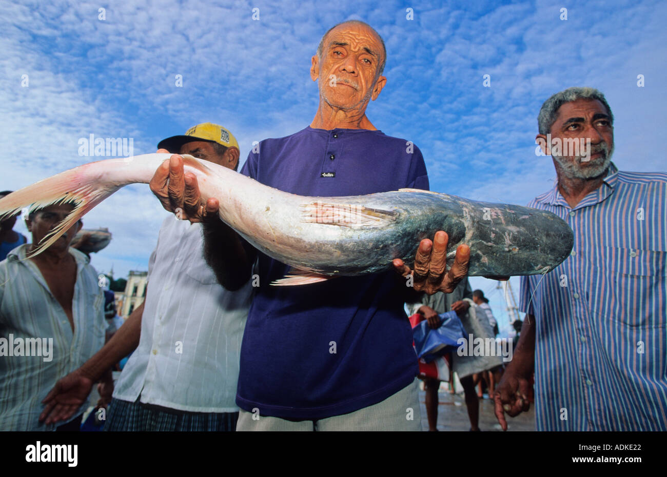Fisherman in Belem Ver O Peso fish market holding up a large fish ...