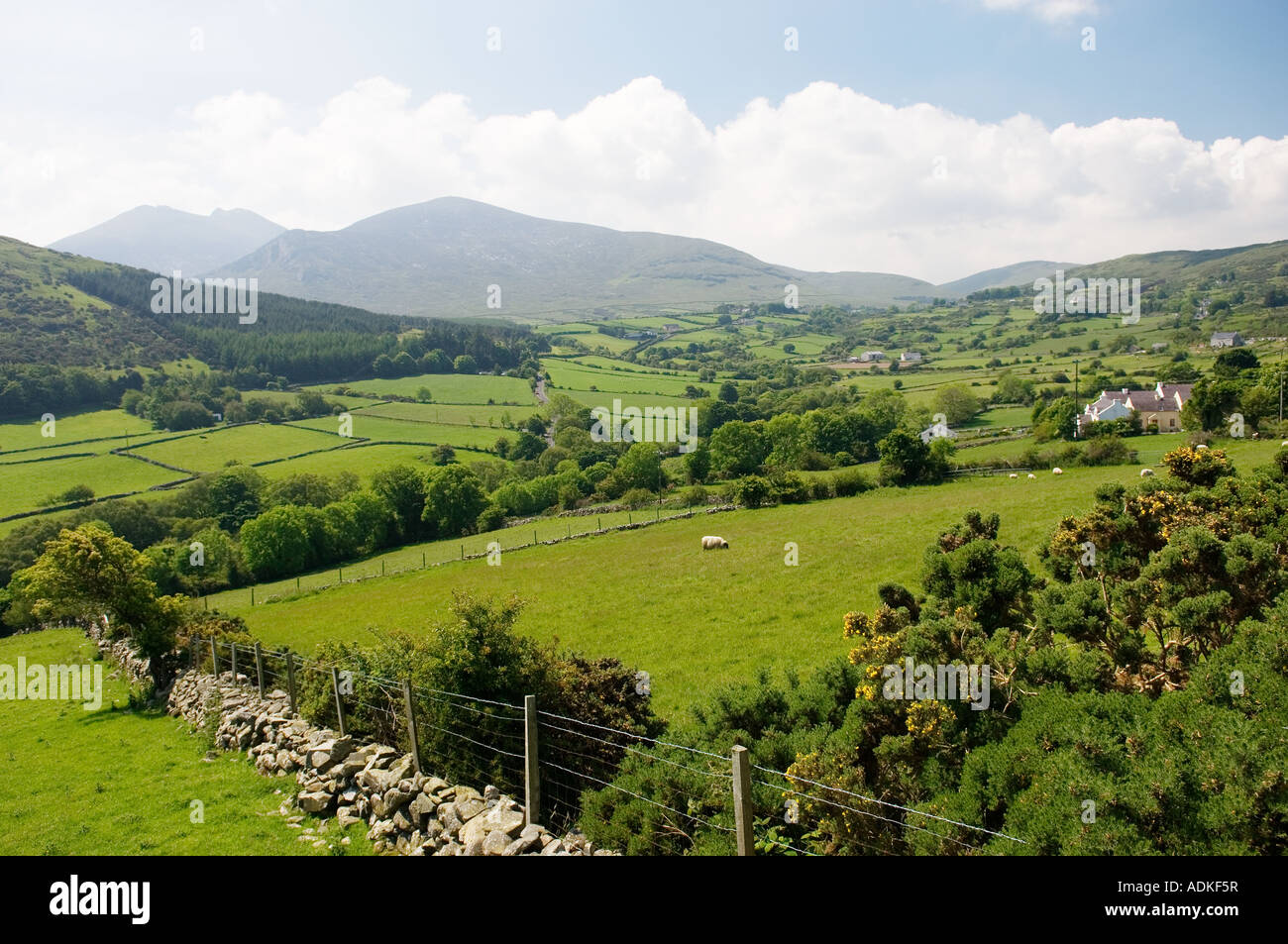Farm countryside in the Mourne Mountains, County Down, Ireland. Seen