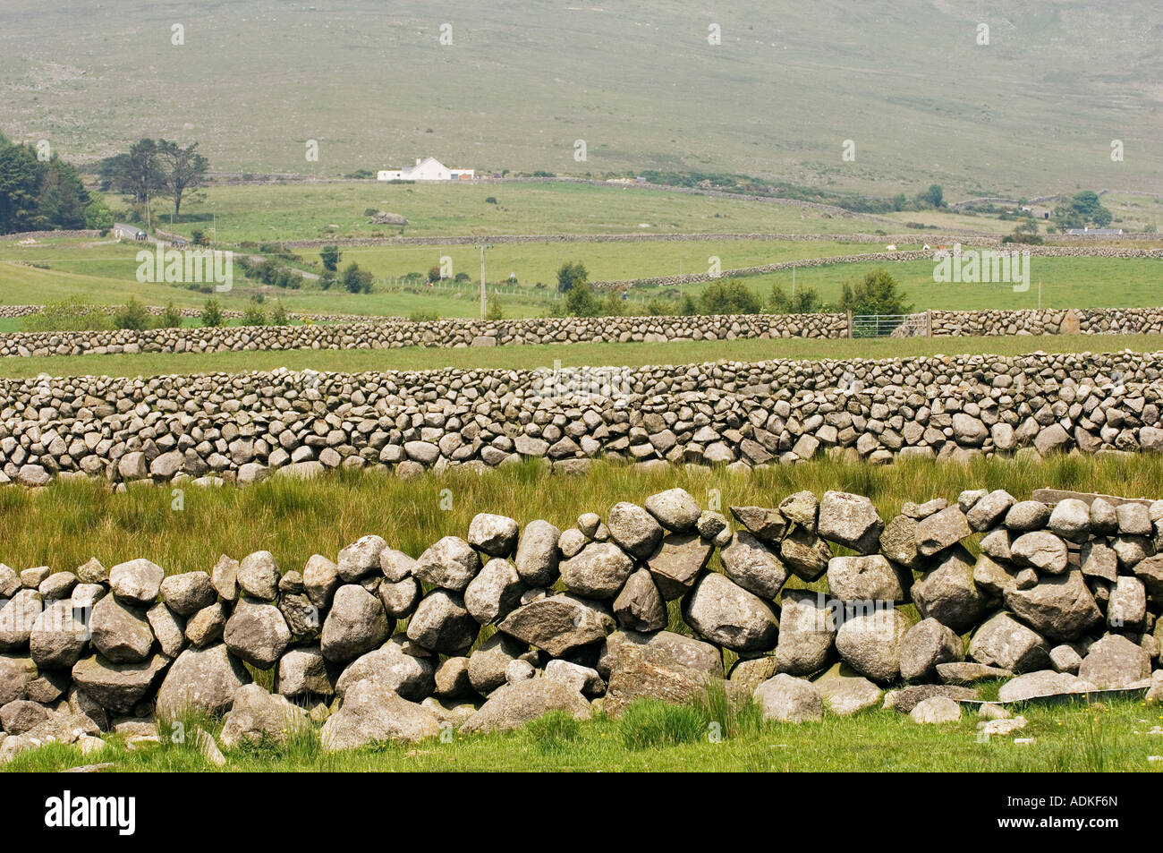 The Mourne Mountains. Typical dry stone granite walls farm farmland