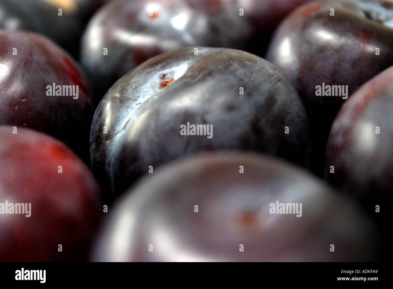 Plums Stock Photo