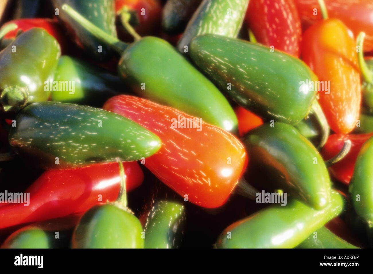 Close-up of red and green peppers Stock Photo