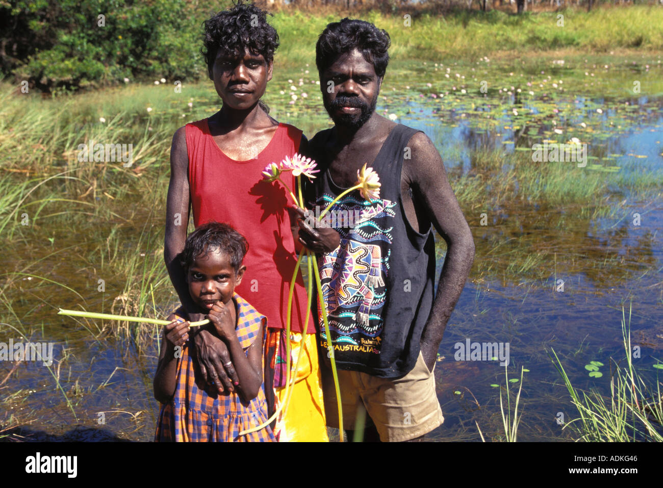 Aboriginal family collecting water lily to eat - good tasty tucker - in Arnhem Land Northern Territory Australia Stock Photo