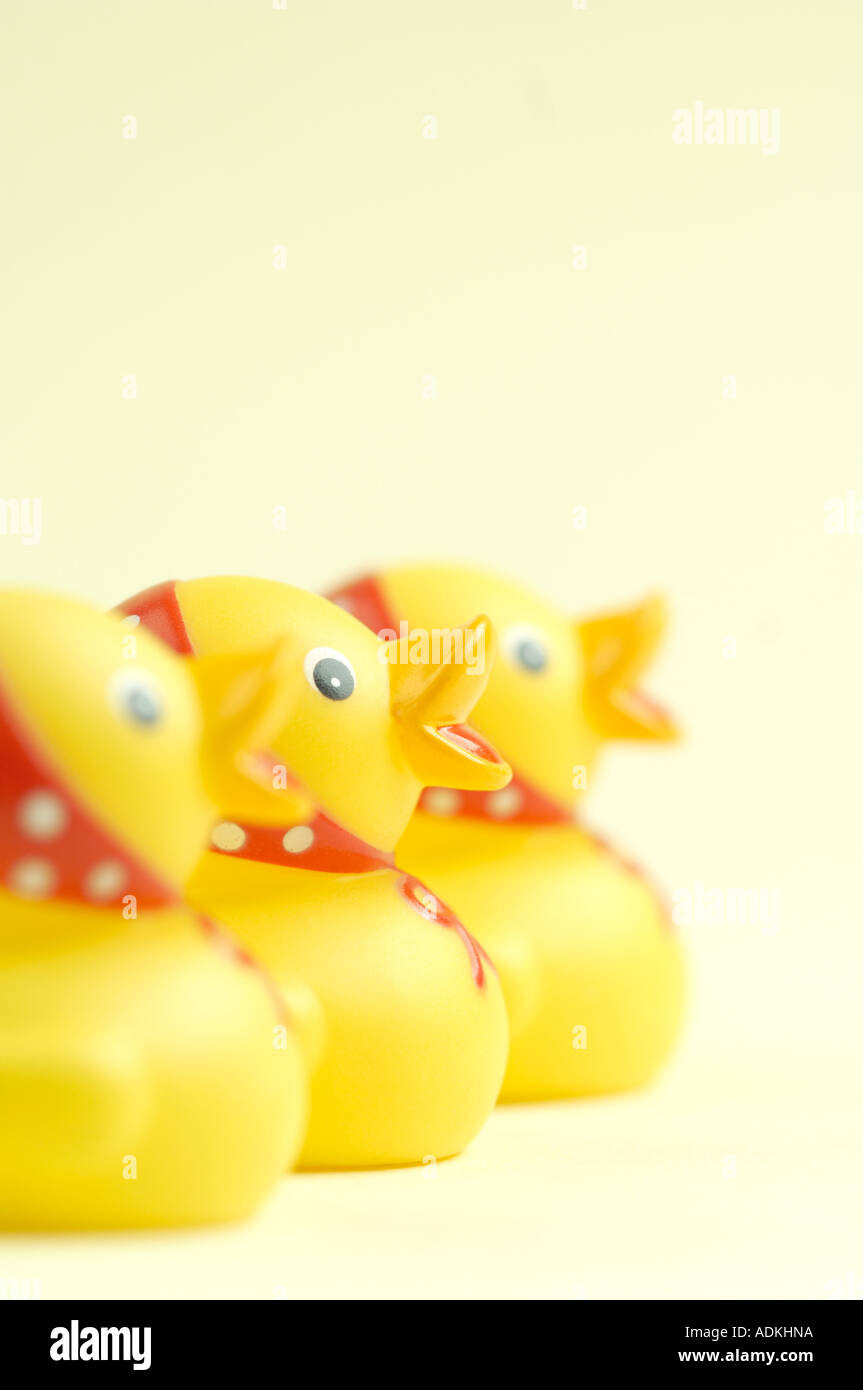 Baby ducks line hi-res stock photography and images - Alamy