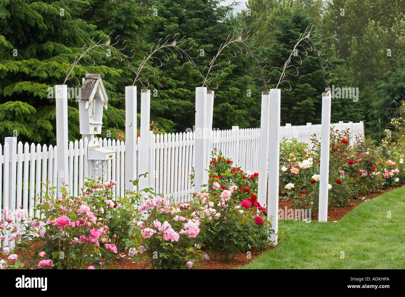 White fence with roses and sculpture Heirloom Gardens Oregon Stock Photo