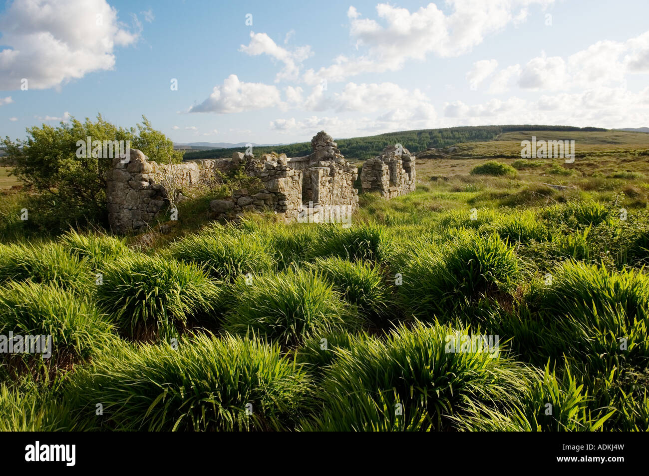 Hill farm house cottage ruin in landscape near Dunglow on the mountain