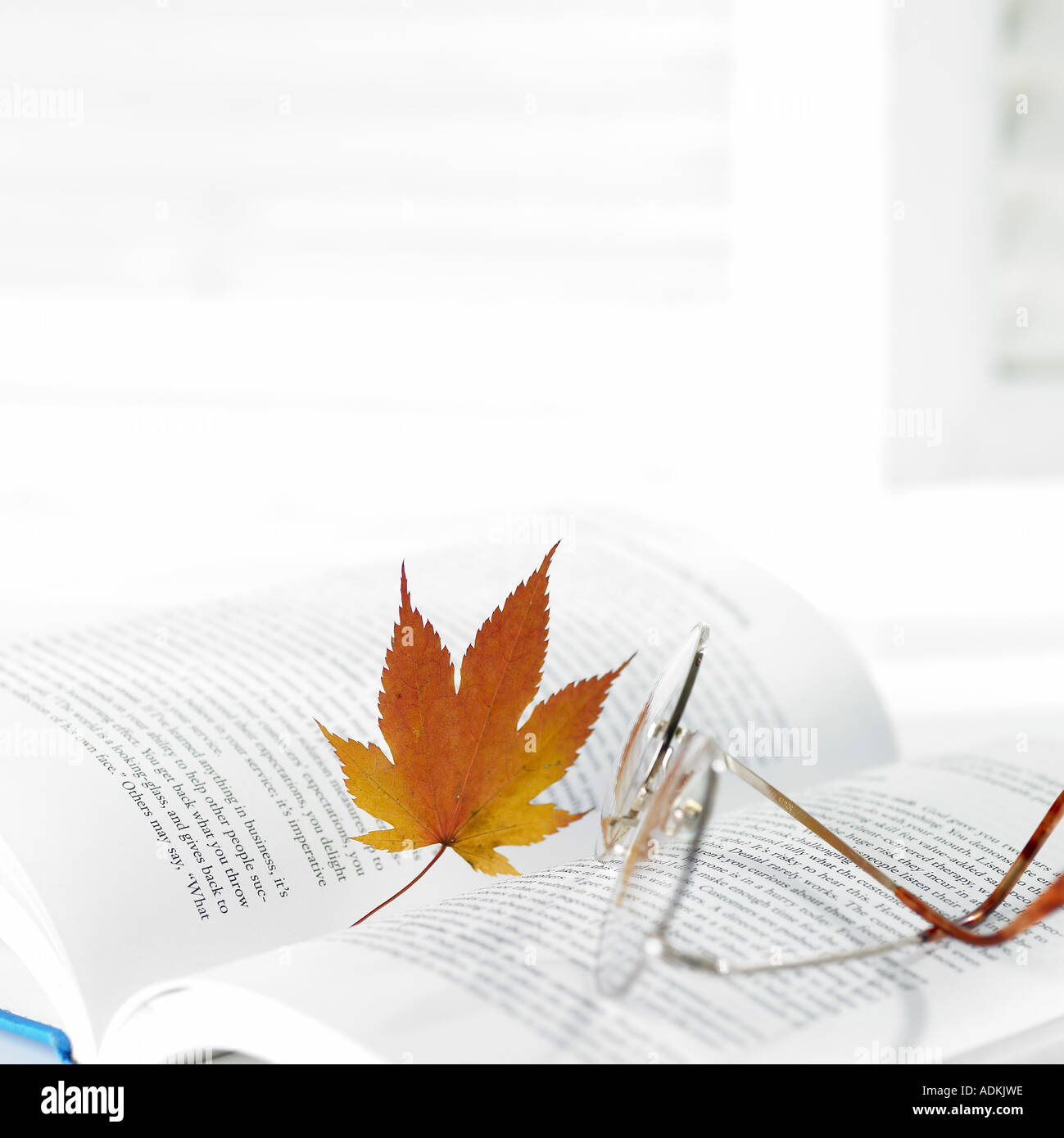 an opened book a maple leaf and glasses Stock Photo
