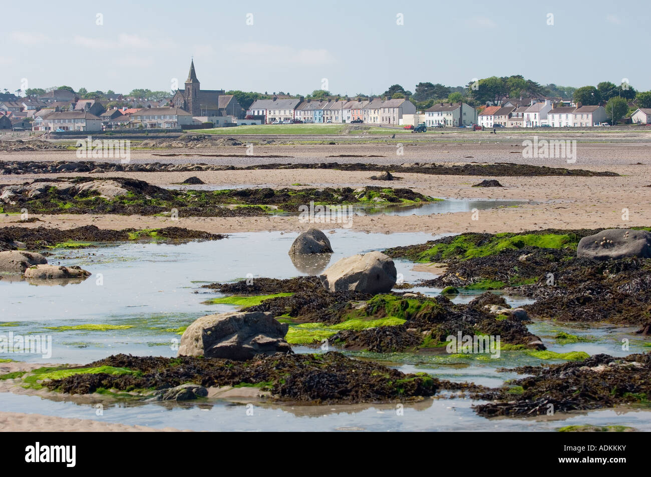 Low tide across the beach at Ballywalter village on the Irish Sea coast of the Ards peninsula, County Down, Northern Ireland. Stock Photo