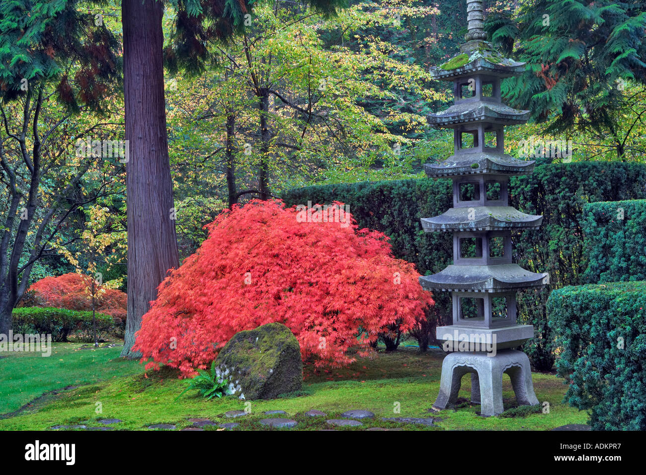 Fall color and pagota at Japanese Gardens Portland Oregon Stock Photo ...