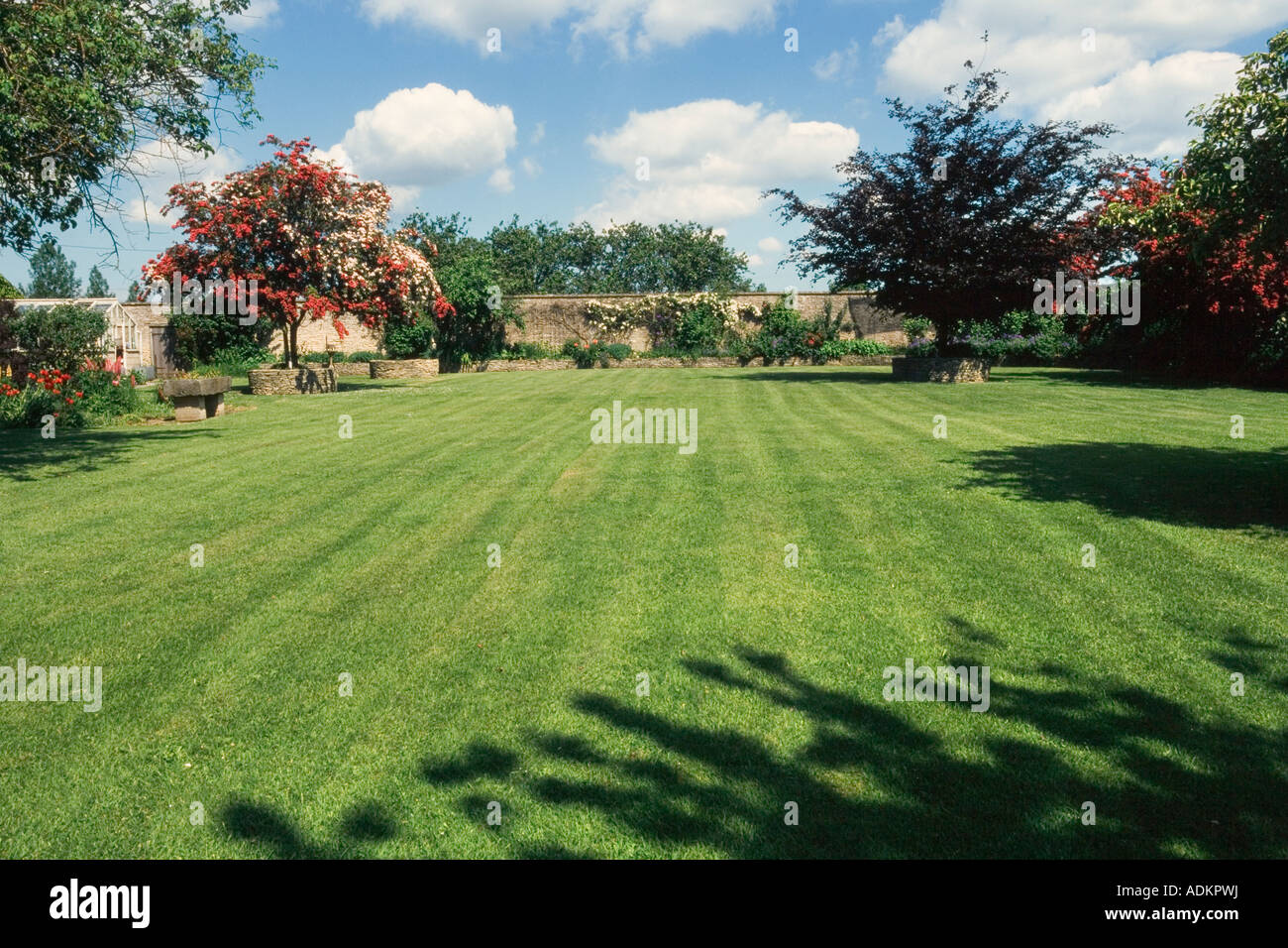 Large lawned garden with mower stripes in grass Stock Photo - Alamy