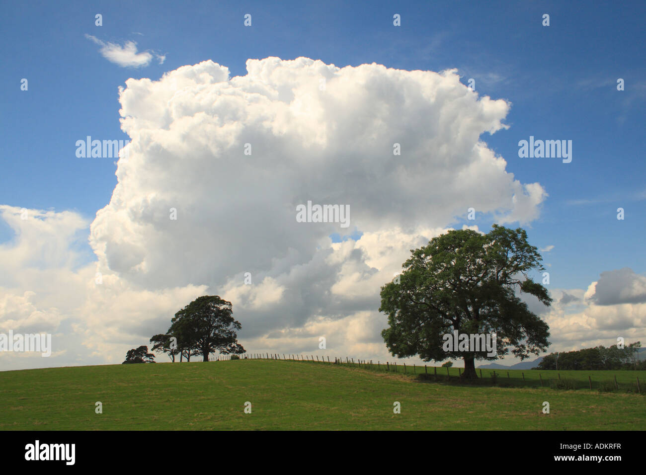 Cumulonimbus clouds against a blue sky Stock Photo