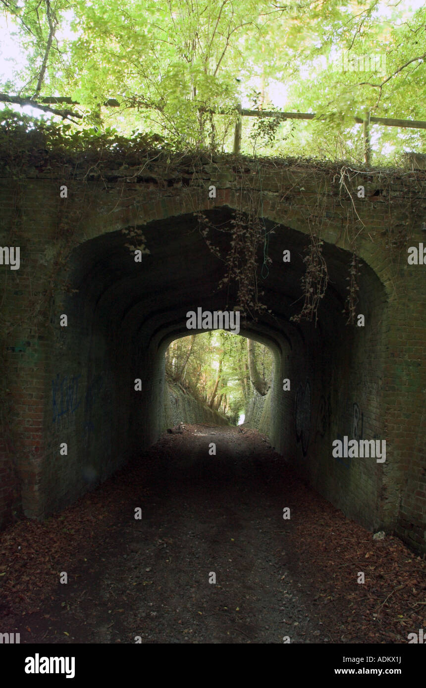 Spooky Lane Stock Photo - Alamy