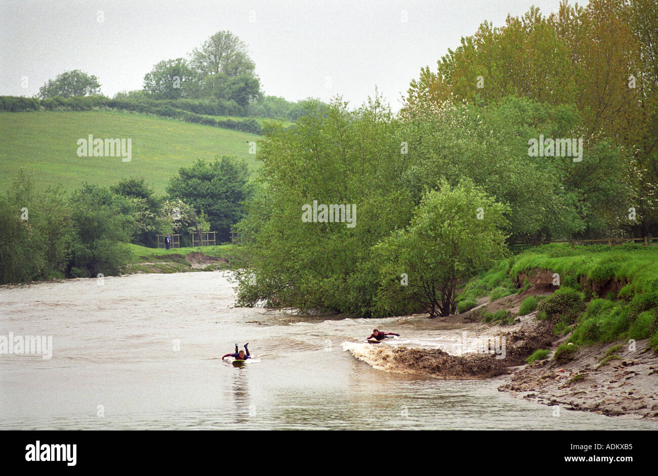 SURFERS RIDING THE SEVERN BORE NEAR EPNEY GLOUCESTERSHIRE UK Stock Photo