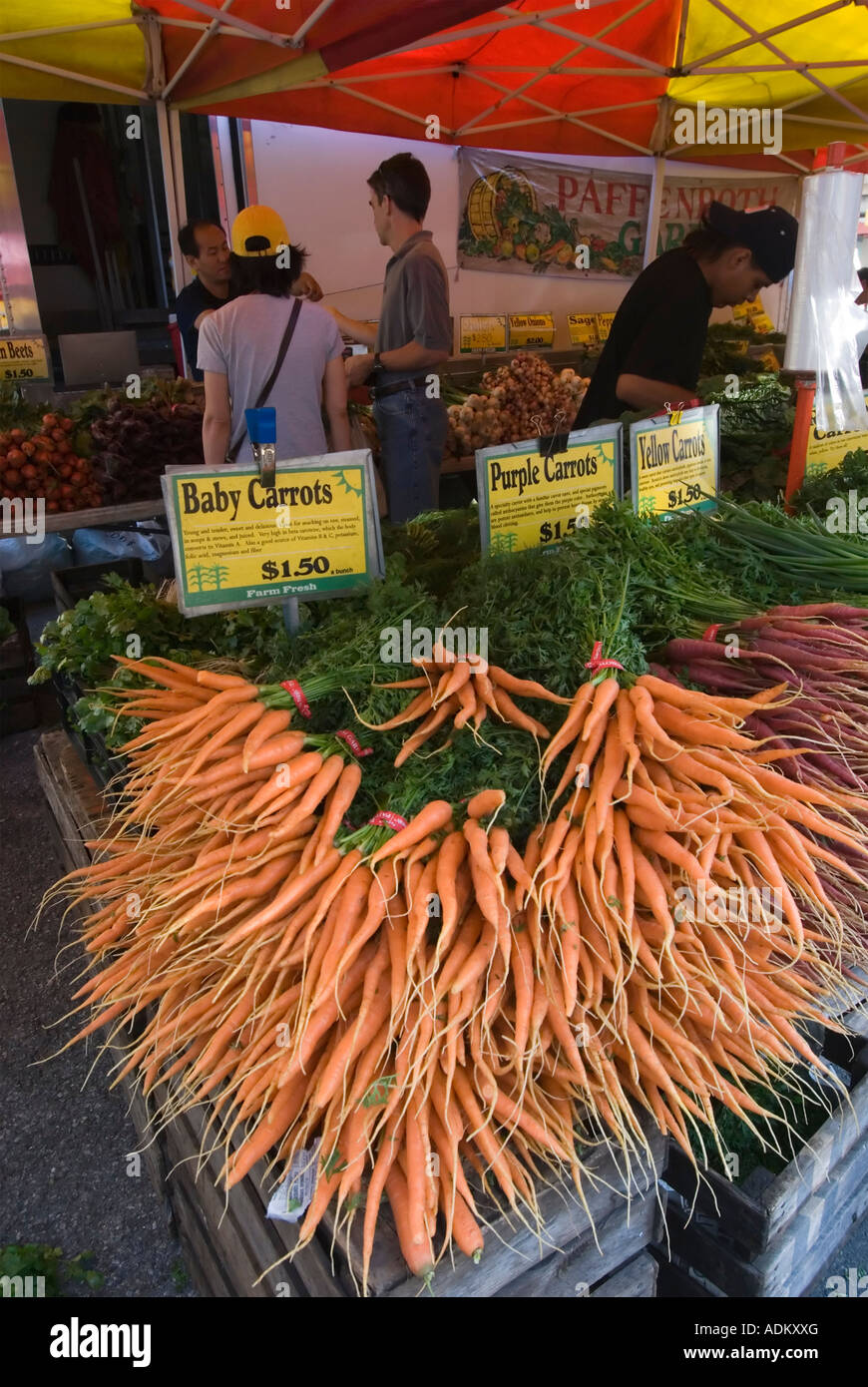 Carrots for Sale at the Union Square Market in Manhattan Stock Photo