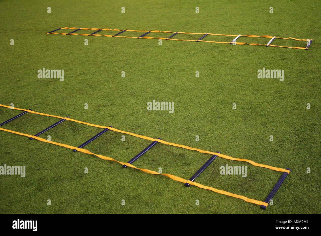 Training Ladders On Soccer Field Stock Photo Alamy