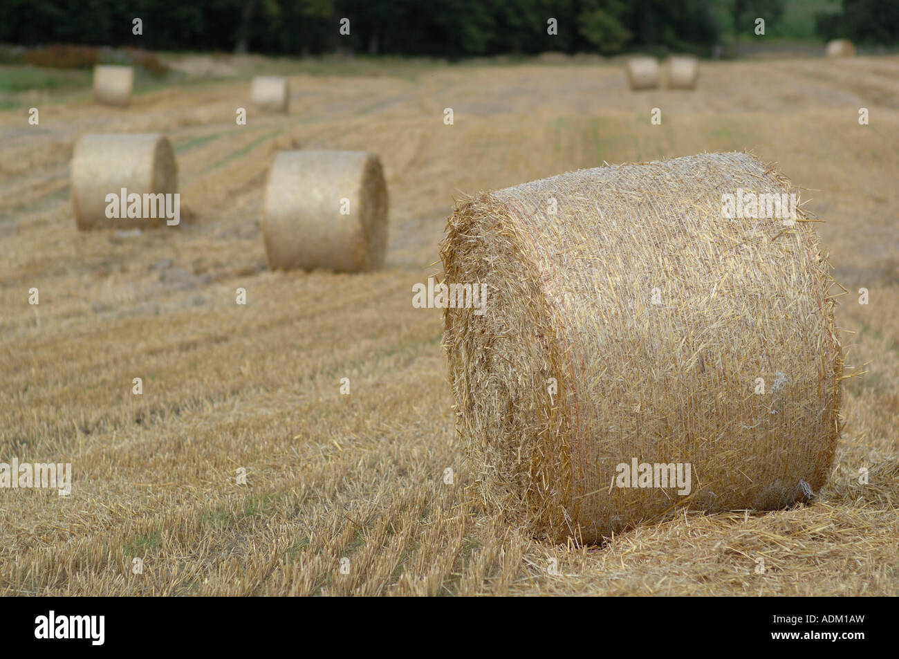 Hay bale shapes hi-res stock photography and images - Alamy
