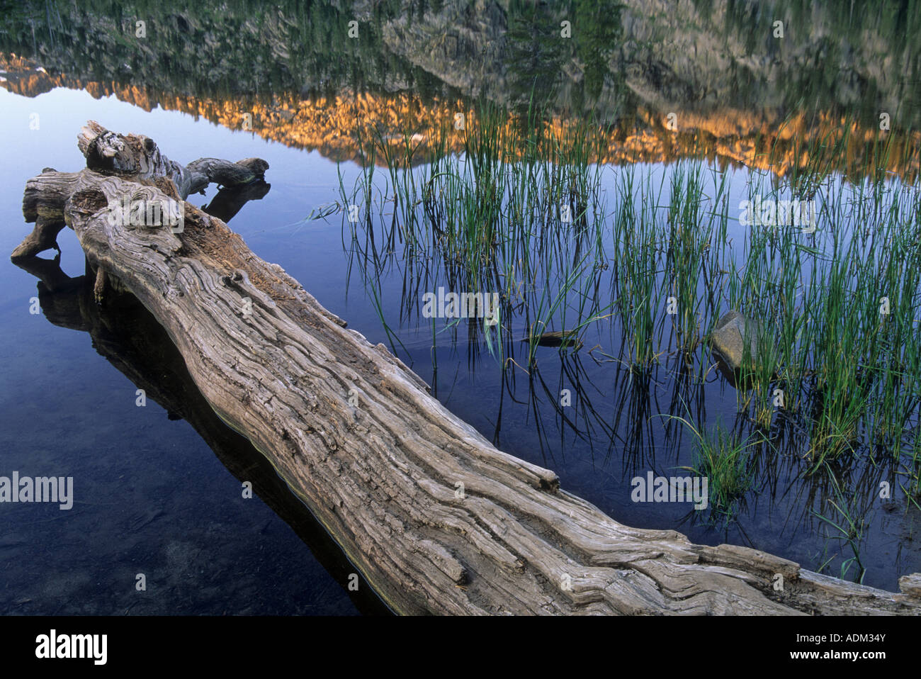 Reflections in Woods Lake in the Eldorado National Forest, Sierra Nevada Mountain Range, California, USA Stock Photo