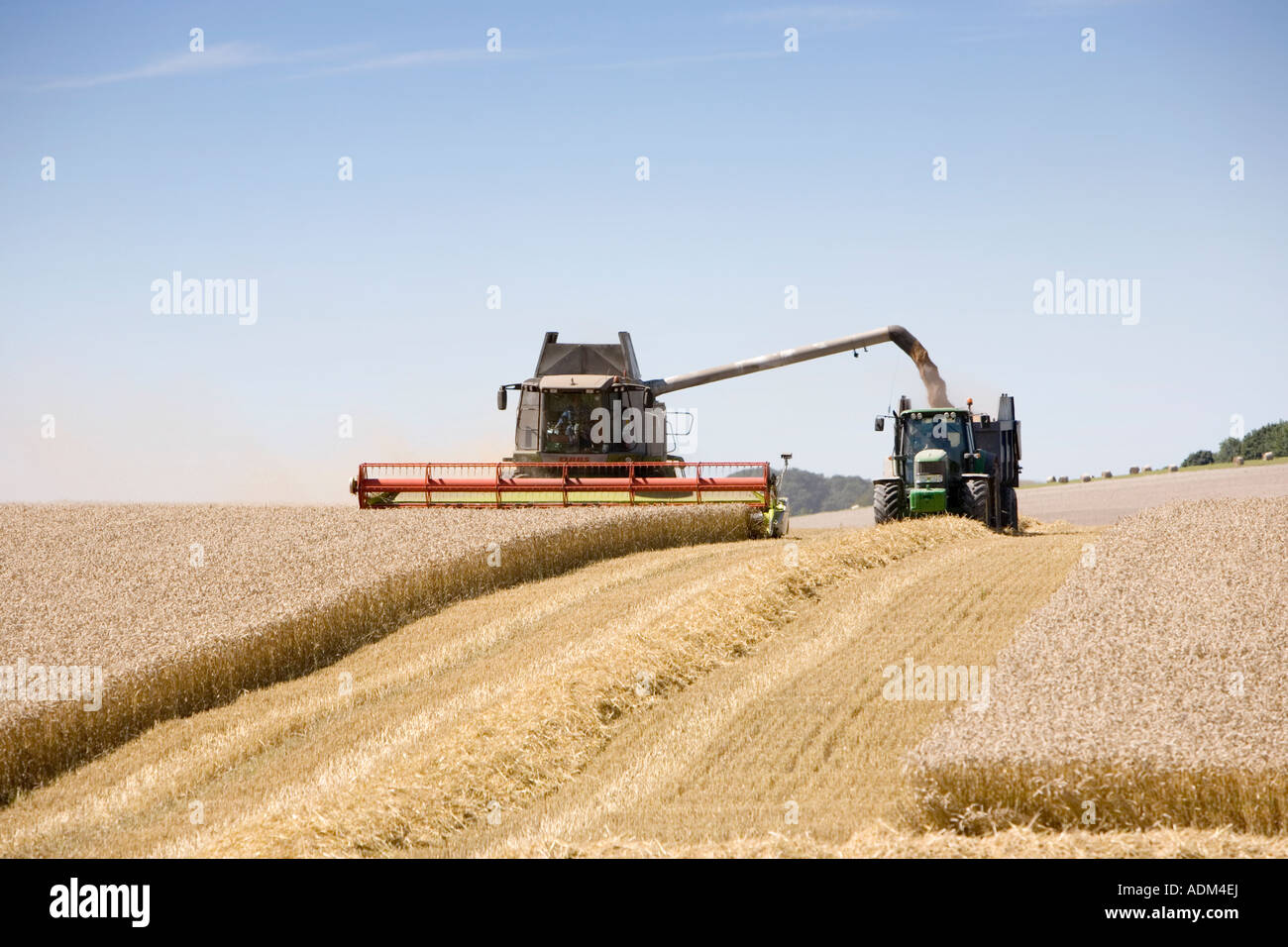 Combine harvester and tractor in a field harvesting wheat on a bright