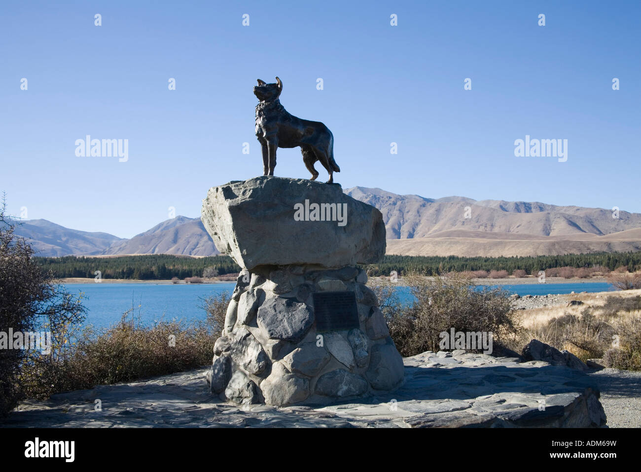 LAKE TEKAPO SOUTH ISLAND NEW ZEALAND May Collie Dog Monument erected in  1966 by sheep farmers as a tribute to their sheep dogs Stock Photo - Alamy