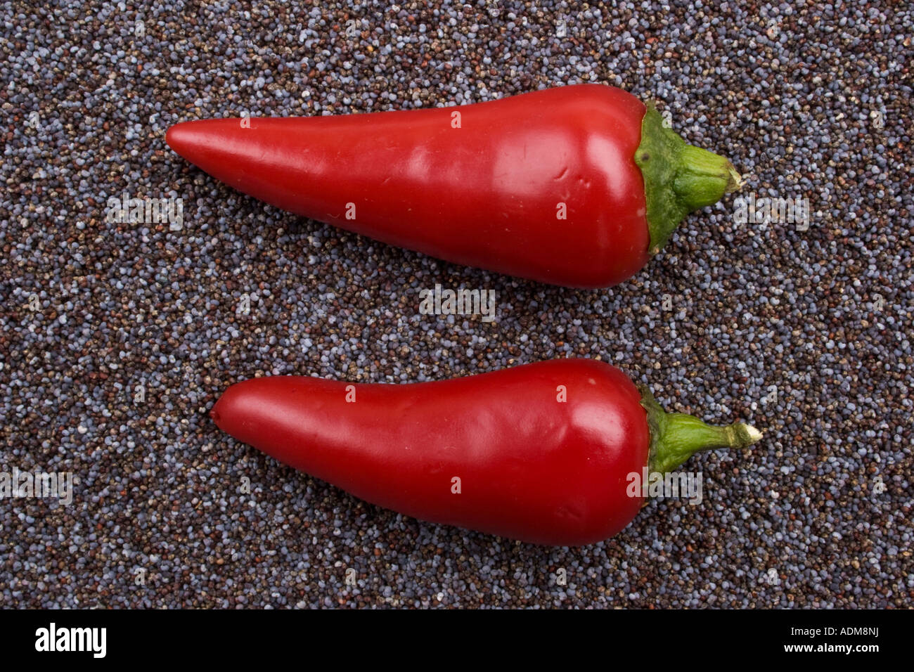 Two red chili peppers on blue poppy seeds Stock Photo