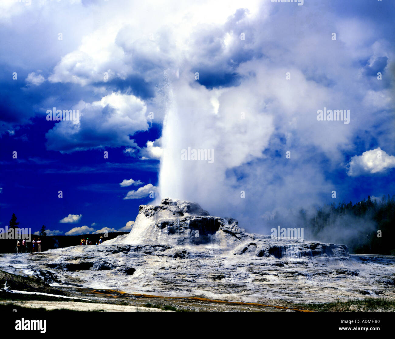 Castle Geyser in Yellowstone National Park erupting with hot water and ...