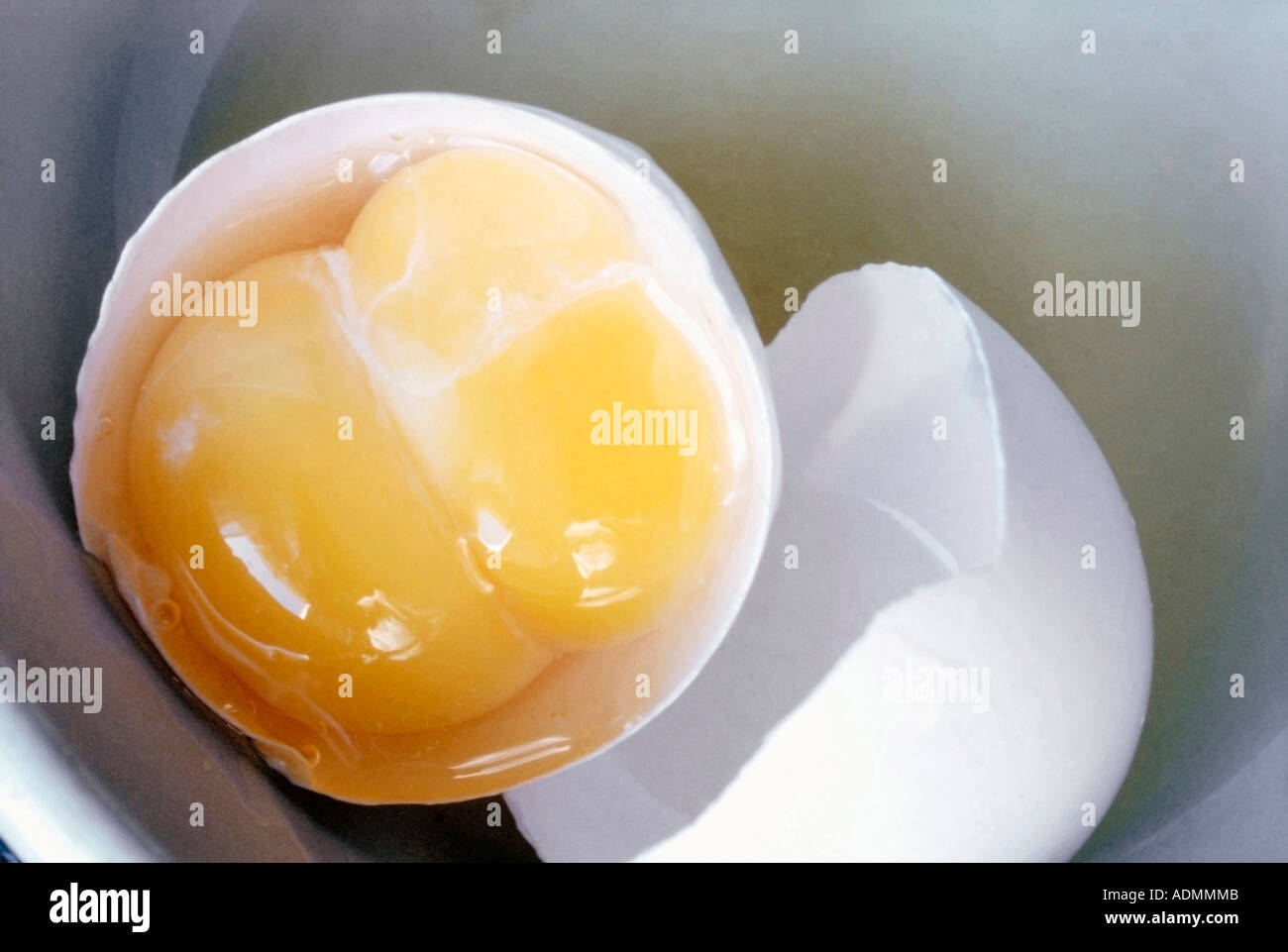 Close up of double yolk chicken egg in half egg shell Stock Photo