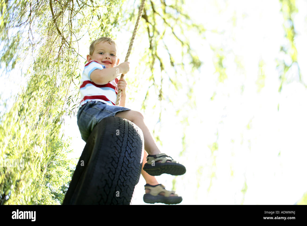 Young boy sitting on tire swing Stock Photo Alamy