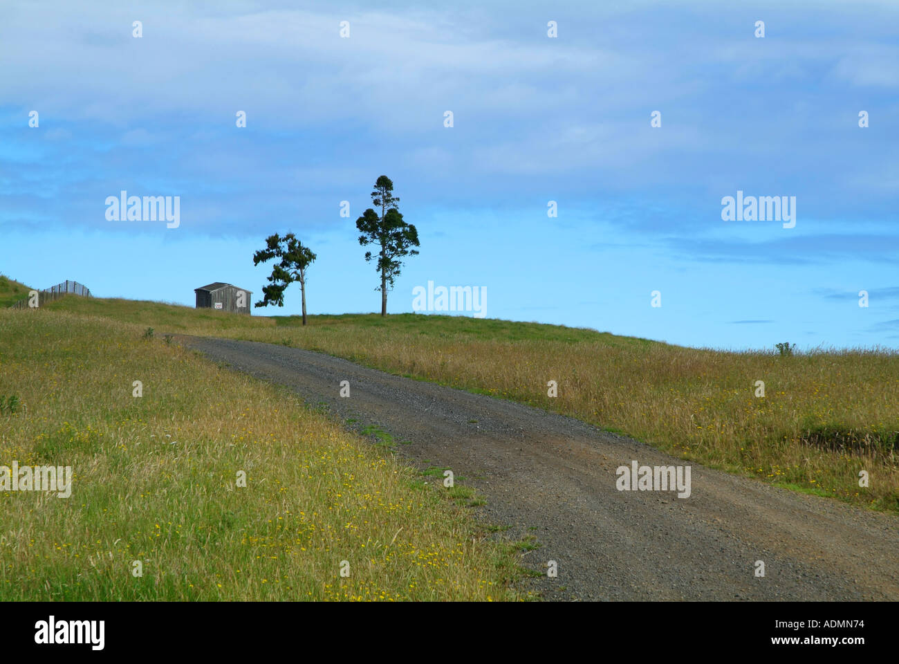 Landscape trees and trees hi-res stock photography and images - Alamy