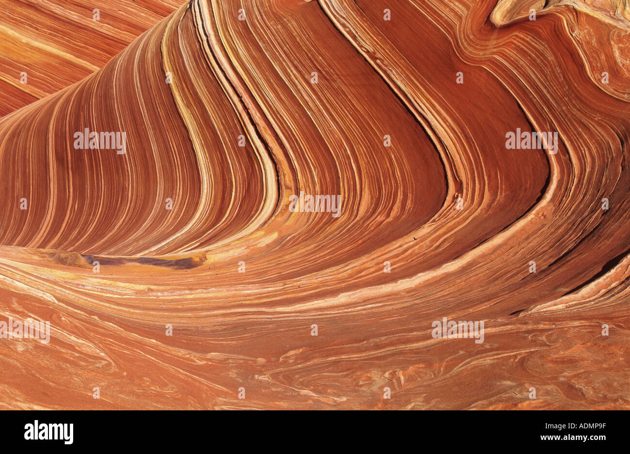 Northern Coyote Buttes, The Wave, petrified sand dune, brown sandstone