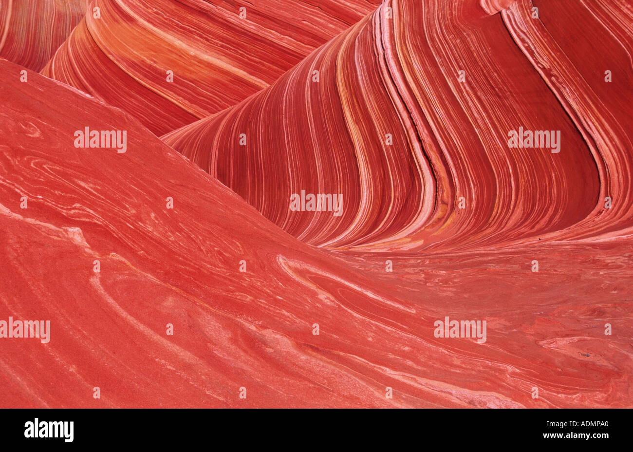 Northern Coyote Buttes, The Wave, petrified sand dune, red sandstone