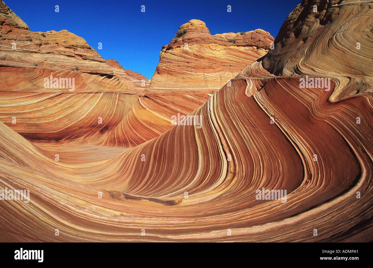Northern Coyote Buttes, The Wave, petrified sand dune, sandstone Stock