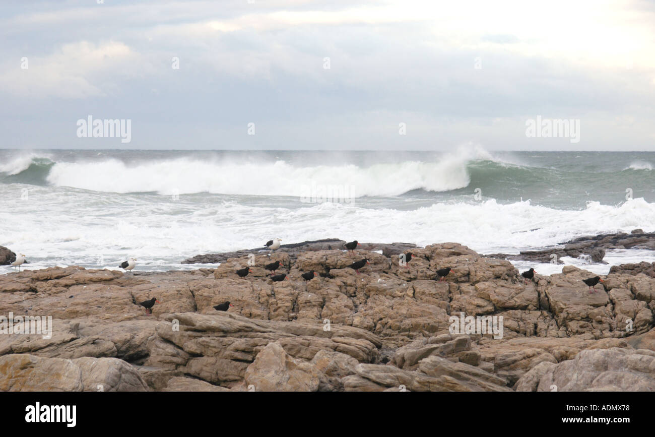 Scarborough Beach near Cape Town South Africa Stock Photo