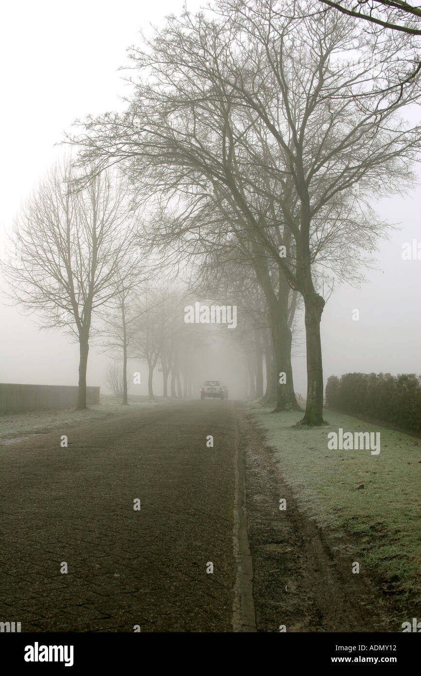 Fog landscape with trees hi-res stock photography and images - Alamy