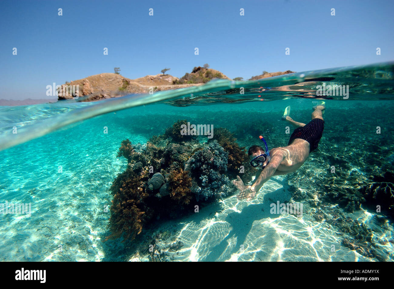 Underwater shot snorkeler hi-res stock photography and images - Alamy