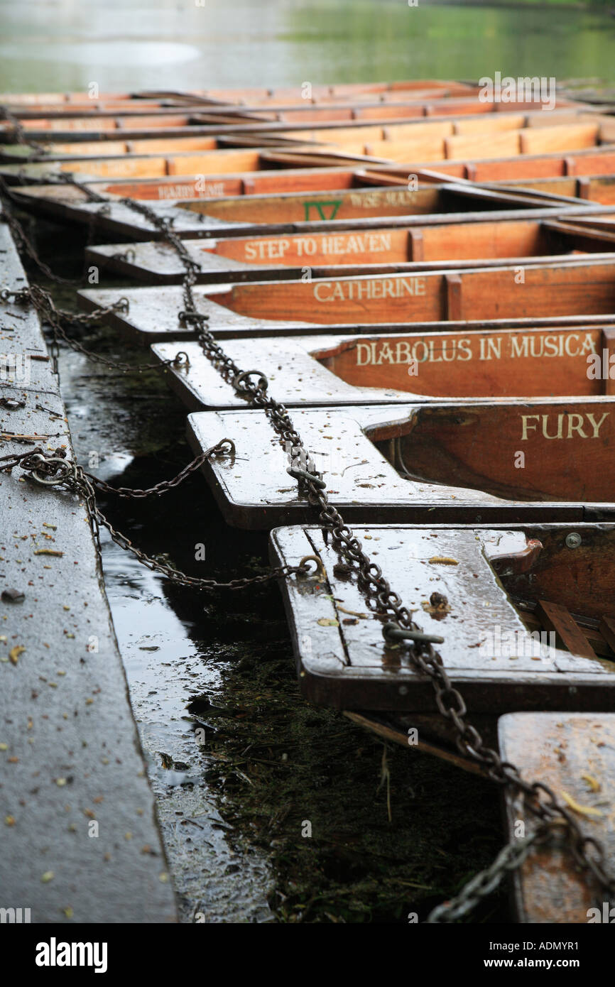 'Punts' all in a row on the 'RIVER CAM' Trinity College, Cambridge Stock Photo