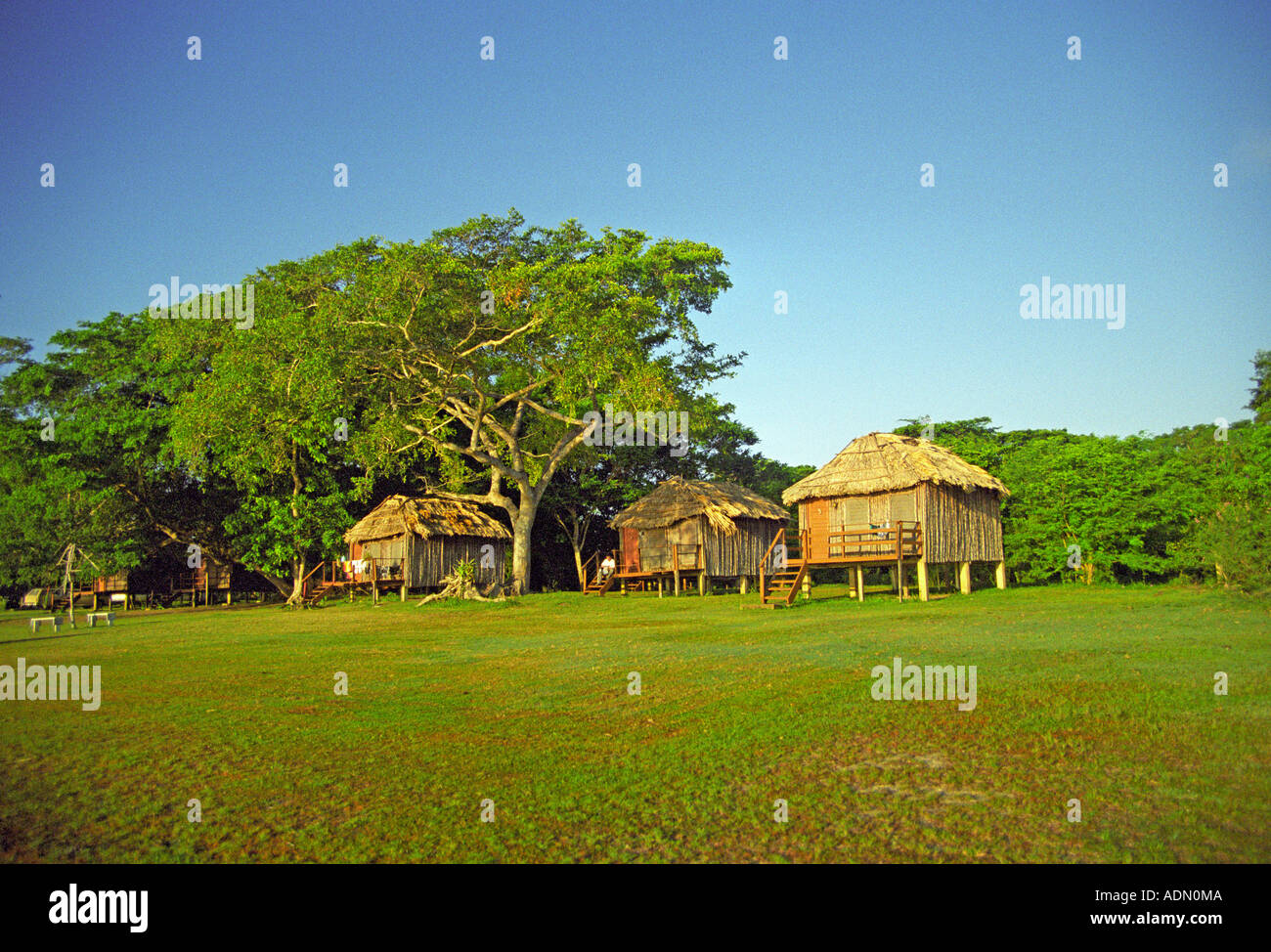 CROOKED TREE WILDLIFE SANCTUARY BELIZE CENTRAL AMERICA August The Stock Photo 7689545 Alamy