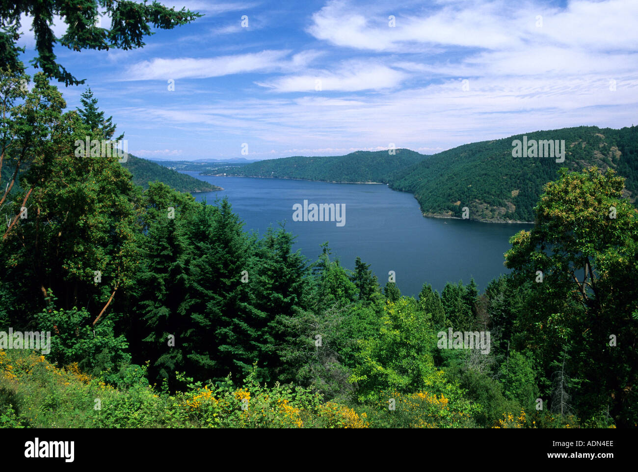 Saanich Inlet Vancouver Island British Columbia Stock Photo - Alamy